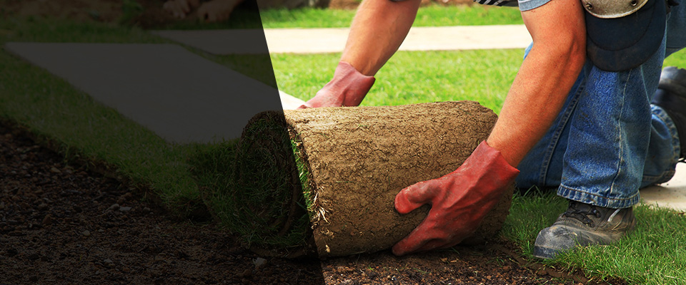 Hillsboro Landscapers